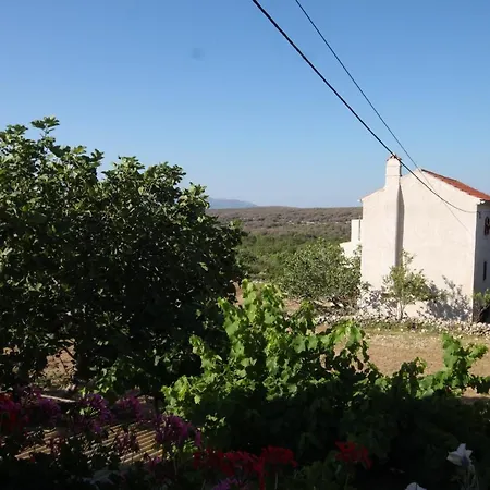 With Wifi Stivan, Cres - 382 Štivan